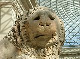 British Museum Top 20 00-3 Great Court Lion Close Up In the Great Court sits a majestic six ton marble Lion, carved near Knidos in Asia Minor (Turkey) about 350-200 BC, and once crowned a tomb at the edge of a cliff overlooking the sea.